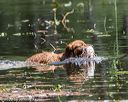 20200809-shw-0277