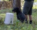 20200809-shw-0359