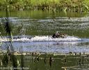 20200809-shw-0423