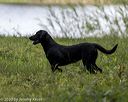 20200809-shw-0468