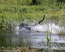 20200809-shw-0623