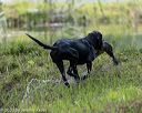 20200809-shw-0663