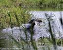 20200809-shw-0683