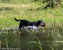 20200809-shw-0774