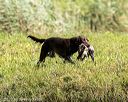20200809-shw-0935