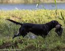 20200809-shw-0944
