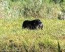 20200809-shw-1023