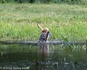 20200809-shw-1296