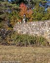 20201011-c-0004