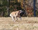 20201011-vetl-0034