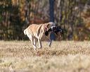 20201011-vetl-0037