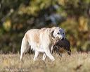 20201011-vetl-0092