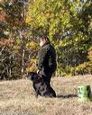 20201011-vetl-0111