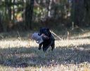 20201011-wcil-0081