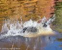 20201011-wciw-0027