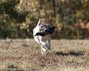 20201011-wcl-0343