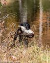 20201011-wcw-0377