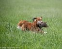 20210605-shl-0010
