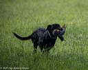 20210605-shl-0157