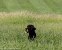 20210605-shl-0256