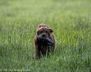 20210605-shl-0306