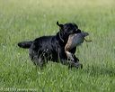20210605-shl-0377