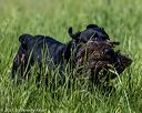 20210605-shl-0430