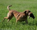 20210605-shl-0574