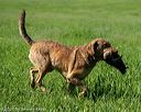 20210605-shl-0576