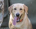 20210605-shl-0809