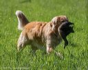 20210605-shl-1216