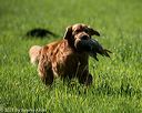 20210605-shl-1280
