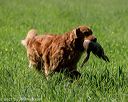 20210605-shl-1292