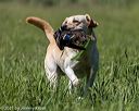 20210605-shl-1560