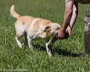 20210605-shl-1607