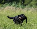 20210605-shl-1630