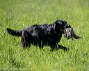 20210605-shl-1669