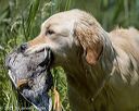 20210605-shw-0157