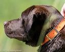 20210605-shw-0889