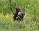 20210606-finw-0018