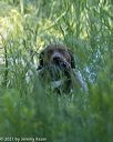 20210606-finw-0042