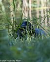 20210606-finw-0149