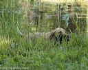 20210606-finw-0185