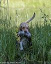 20210606-finw-0203