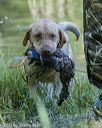 20210606-finw-0244