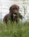 20210606-finw-0448