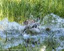20210606-finw-0553
