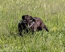 20210606-seal-0394