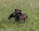 20210606-seal-0396