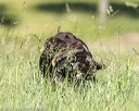 20210606-seal-0439